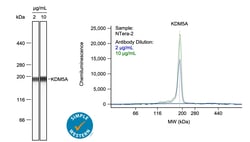 Human Jarid1A/KDM5A Antibody, R&D Systems&trade;