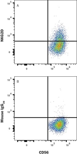 Human NKG2D/CD314 Antibody, R D Systems 25 &mu;g; Unconjugated:Antibodies,