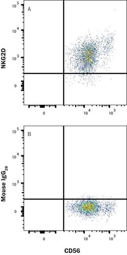 Human NKG2D/CD314 Antibody, R D Systems 25 &mu;g; Unconjugated:Antibodies,