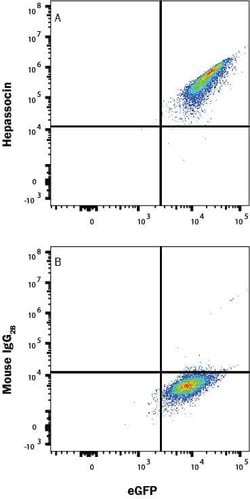 Human Hepassocin/FGL1 Antibody, R D Systems 25 &mu;g; Unconjugated:Antibodies,