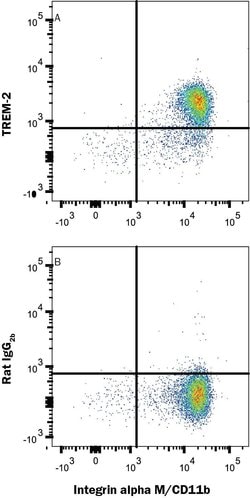 Human/Mouse TREM2 Antibody, R D Systems:Antibodies:Primary Antibodies