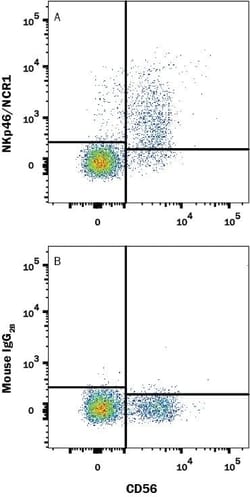 Human NKp46/NCR1 Antibody, R D Systems 100 &mu;g; Unconjugated:Anticorps,