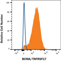 Human BCMA/TNFRSF17 Antibody, R D Systems 25 &mu;g; Unconjugated:Antibodies,