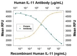 Human IL-11 Antibody, R D Systems 25 &mu;g; Unconjugated:Antibodies, Monoclonal