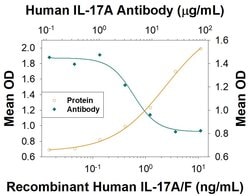 Human IL-17/IL-17A Antibody, R D Systems:Antibodies:Primary Antibodies