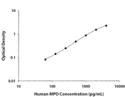Human Myeloperoxidase/MPO Antibody, R D Systems 100 &mu;g; Unconjugated:Antibodies,