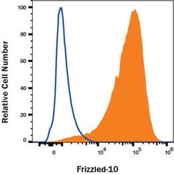 Human Frizzled-10 Antibody, R D Systems:Antibodies:Primary Antibodies