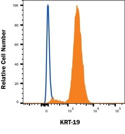 Human Cytokeratin 19 Antibody, R D Systems:Antibodies:Primary Antibodies
