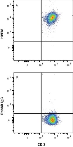 Human HVEM/TNFRSF14 Antibody, R D Systems 25 &mu;g; Unconjugated:Antibodies,