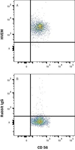 Human HVEM/TNFRSF14 Antibody, R D Systems 25 &mu;g; Unconjugated:Antibodies,