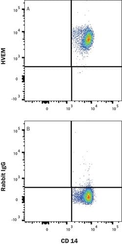 Human HVEM/TNFRSF14 Antibody, R D Systems 25 &mu;g; Unconjugated:Antibodies,