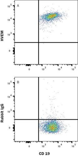 Human HVEM/TNFRSF14 Antibody, R D Systems 25 &mu;g; Unconjugated:Antibodies,