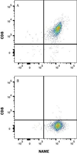 Human CD8 alpha Antibody, R D Systems 25 &mu;g; Unconjugated:Antibodies,