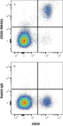 Human CD20 Antibody, R D Systems:Antibodies:Primary Antibodies