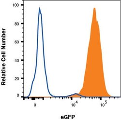 GFP Antibody, R D Systems:Antibodies:Primary Antibodies