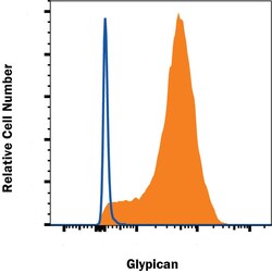Human Glypican 1 Antibody, R D Systems:Antibodies:Primary Antibodies