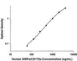 Human SIRP alpha/CD172a Antibody, R D Systems 25 &mu;g; Unconjugated:Antibodies,