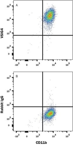 Human VSIG4 Antibody, R D Systems 100 &mu;g; Unconjugated:Antibodies, Monoclonal