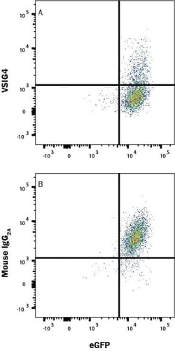 Human VSIG4 Antibody, R D Systems 25 &mu;g; Unconjugated:Anticuerpos
