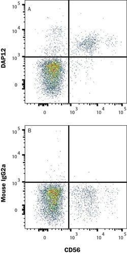 Human DAP12 Antibody, R D Systems 25 &mu;g; Unconjugated:Antibodies, Monoclonal