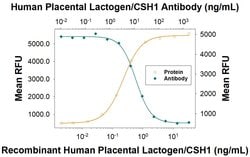 Human Placental Lactogen/CSH1 Antibody, R D Systems 25 &mu;g; Unconjugated:Antibodies,