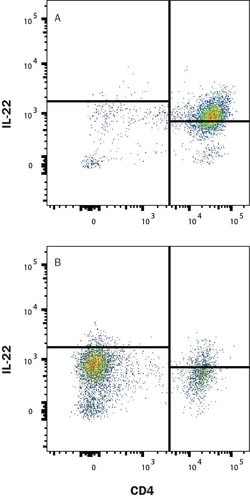 Mouse IL-22 Antibody, R D Systems 25 μg; Unconjugated:Antibodies, Monoclonal