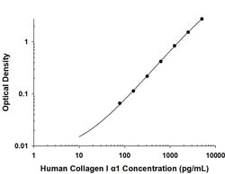 Human Collagen I alpha 1 Antibody, R D Systems 25 &mu;g; Unconjugated:Antibodies,