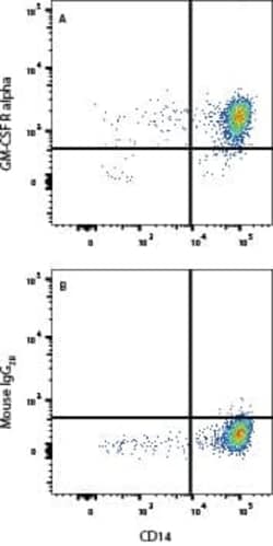 Human GM-CSF R alpha Antibody, R D Systems 100 &mu;g; Unconjugated:Antibodies,