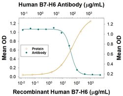 Human B7-H6 Antibody, R D Systems 100 &mu;g; Unconjugated:Antibodies, Monoclonal