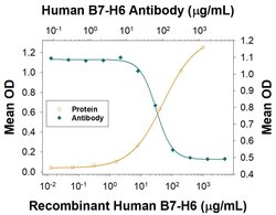 Human B7-H6 Antibody, R D Systems:Antibodies:Primary Antibodies