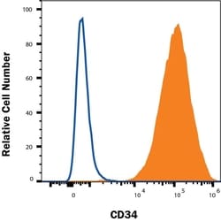 Human CD34 Antibody, R D Systems 100 &mu;g; Unconjugated:Antibodies, Monoclonal