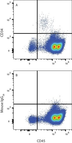 Human CD34 Antibody, R D Systems 100 &mu;g; Unconjugated:Antibodies, Monoclonal