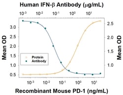 Mouse PD-1 Antibody, R D Systems:Antibodies:Primary Antibodies