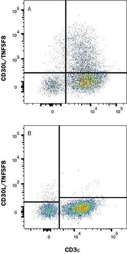 Human CD30 Ligand/TNFSF8 Antibody, R D Systems:Antibodies:Primary Antibodies