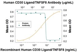 Human CD30 Ligand/TNFSF8 Antibody, R D Systems:Antibodies:Primary Antibodies