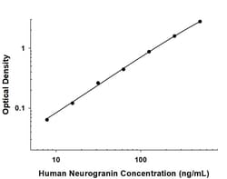 Human Neurogranin Antibody, R D Systems 100 &mu;g; Unconjugated:Anticorps,