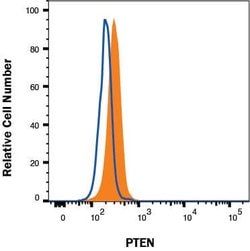 Human/Mouse PTEN Antibody, R D Systems:Antibodies:Primary Antibodies