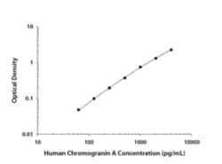 Human Chromogranin A Antibody, R D Systems 100 &mu;g; Unconjugated:Antibodies,