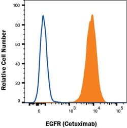 Human EGFR F(ab')2 (Research Grade Cetuximab Biosimilar) Antibody, Novus