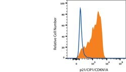Human p21/CIP1/CDKN1A Alexa Fluor 700-conjugated Antibody, R D Systems