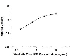 Viral wnvNS1 Protein Antibody, R D Systems 25 &mu;g; Unconjugated:Antibodies,