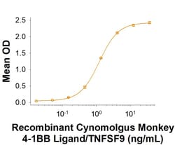 R D Systems Recombinant Cynomolgus 4-1BB Ligand/TNFSF9 His Protein 100 &mu;g | Buy Online | R&amp;D Systems&trade; | Fisher Scientific