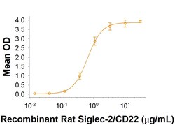 R D Systems Recombinant Rat Siglec-2/CD22 Fc Chimera Protein 50 &mu;g | Buy Online | R&amp;D Systems&trade; | Fisher Scientific
