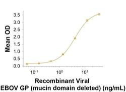 R D Systems Recombinant EBOV GP (Mucin Domain Deleted) Protein, CF 100 &mu;g | Buy Online | R&amp;D Systems&trade; | Fisher Scientific