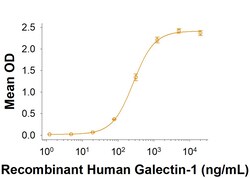 R D Systems Recombinant Human CD45RO Fc Chimera Protein 50 &mu;g | Buy Online | R&amp;D Systems&trade; | Fisher Scientific