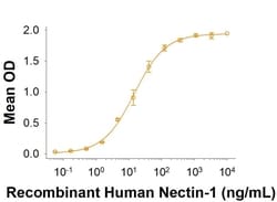 R&D Systems&trade;&nbsp;Recombinant Human Nectin-1 Fc Chimera Protein, CF
