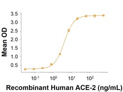 R&D Systems&trade;&nbsp;Recombinant SARS-CoV-2 S477N Spike RBD His-tag Protein