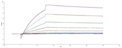R&D Systems&trade;&nbsp;Recombinant SARS-CoV-2 N439K Spike RBD His-tag Protein