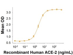 R D Systems Recombinant SARS-CoV-2 B.1.1.7 N501Y Spike RBD Fc Protein 100 &mu;g | Buy Online | R&amp;D Systems&trade; | Fisher Scientific