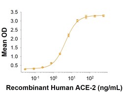 R D Systems Recombinant SARS-CoV-2 A222V Spike S1 Subunit His Protein CF 100 &mu;g | Buy Online | R&amp;D Systems&trade; | Fisher Scientific